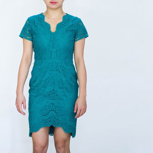 NWT LOFT V-Neck Lace Scalloped Sheath Dress